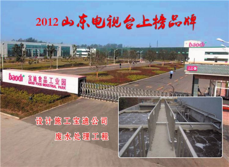 設(shè)計施工寶迪公司廢水處理工程